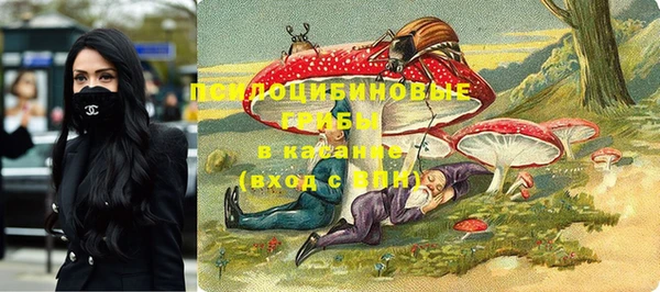 шишки Алзамай