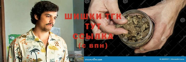 шишки Алзамай