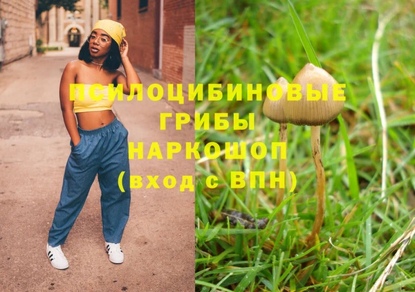 шишки Алзамай