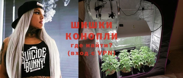 шишки Алзамай