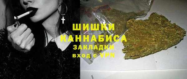 шишки Алзамай