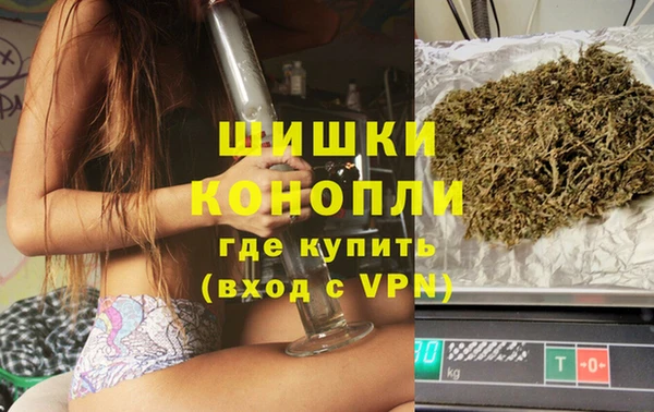 шишки Алзамай